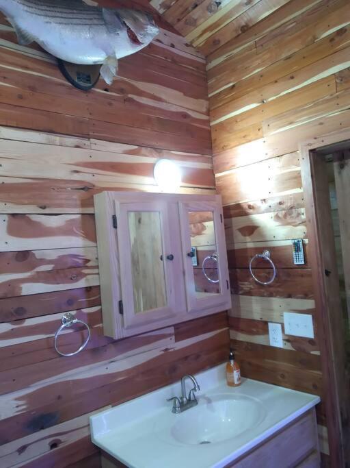 Cabin With A Tree House On A Buffalo Farm . Marshall Екстер'єр фото